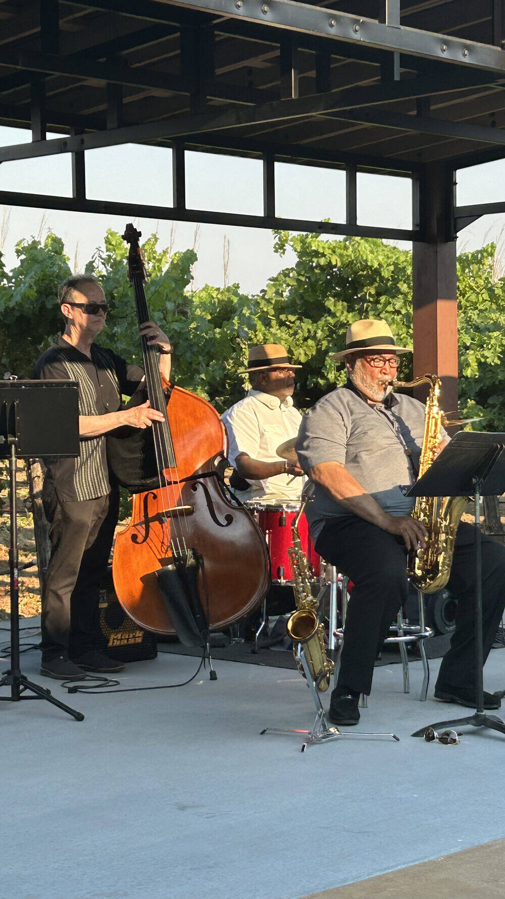 Ron Burris and band performing at a Bay Area winery